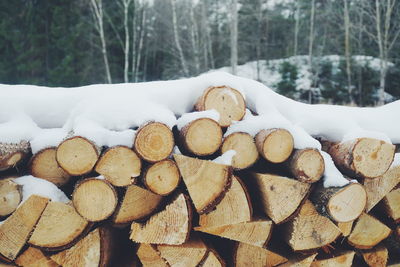 Close-up of logs in snow