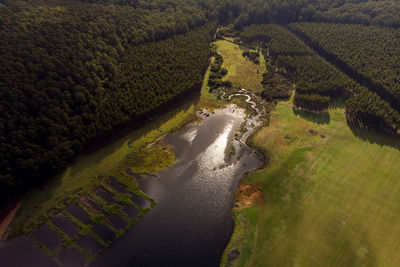 High angle view of agricultural field