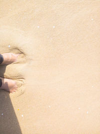 Low section of woman on beach