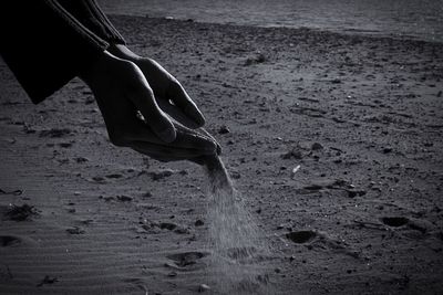 Low section of person standing on beach