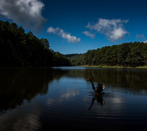 Reflection of trees in lake against sky