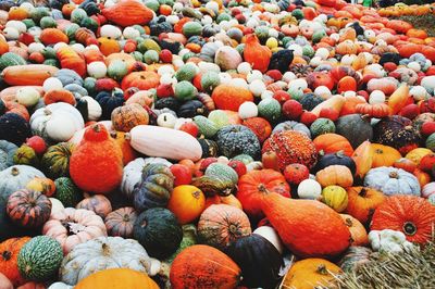 Full frame shot of pumpkins