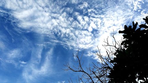 Low angle view of silhouette trees against blue sky