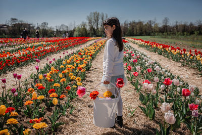 Girl in white top stands in tulip field with bucket full of collected flowers