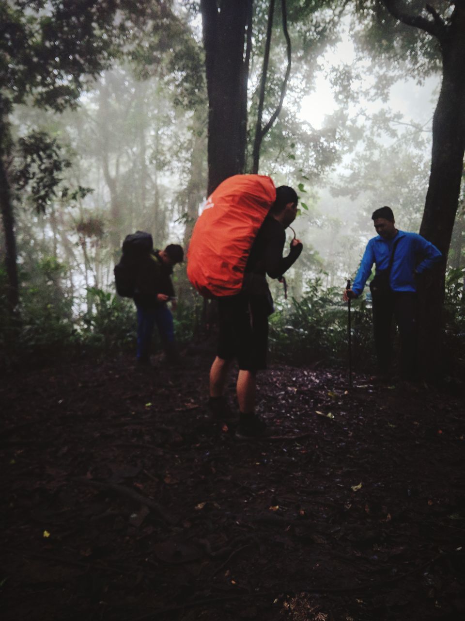 REAR VIEW OF PEOPLE WALKING ON LAND