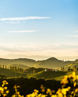 Scenic view of landscape against sky