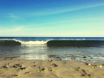 Scenic view of beach