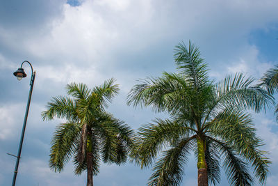 sky