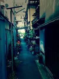 Narrow alley in alley