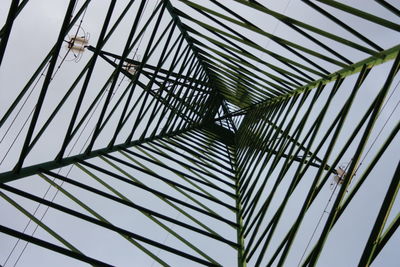 Low angle view of palm trees against clear sky