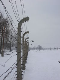 Bare trees on snow covered landscape against sky