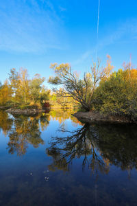 Reflection of trees in lake against blue sky