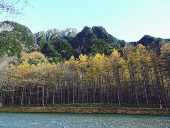 Scenic view of lake by trees against clear sky