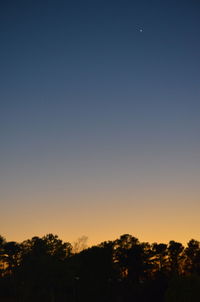 Low angle view of trees against sky