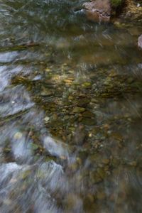 High angle view of water in water