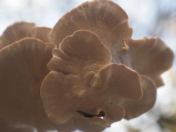 Close-up of human hand