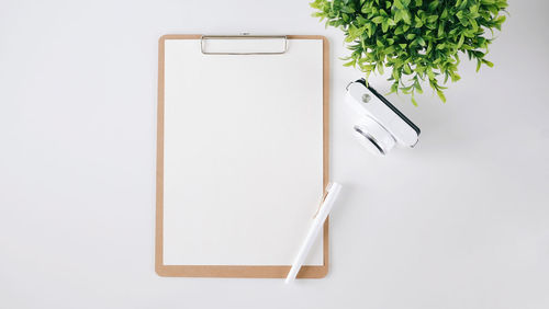 High angle view of clipboard with plant and pen over white background