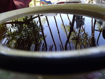 Close-up of reflection of trees in water