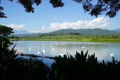 Scenic view of lake against sky