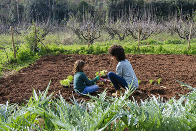 Mother and son planting lettuce seedlings in vegetable garden