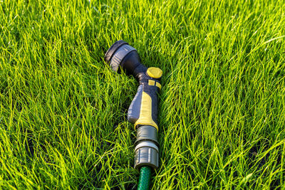 High angle view of grass