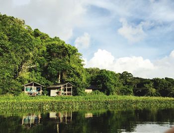 Plants and trees by lake against building