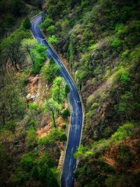 High angle view of road amidst trees in forest