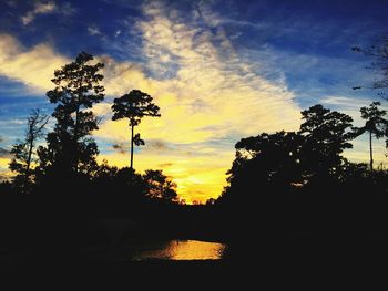 Silhouette trees against dramatic sky during sunset