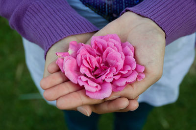 Midsection of woman holding flower while standing at field