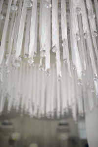 Close-up of icicles hanging in row