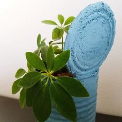 Close-up of potted plant against wall