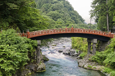 Bridge over river in forest against sky