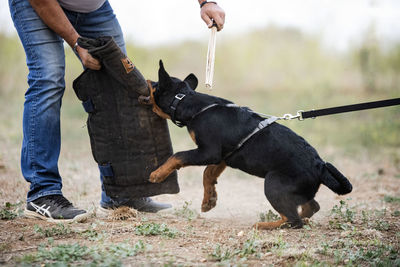 Low section of man with dog standing on field