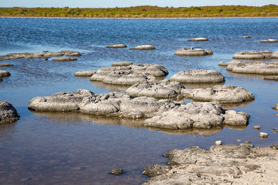 Rocks in sea