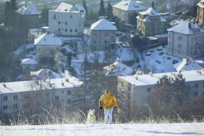 Buildings in city against snowcapped mountains during winter