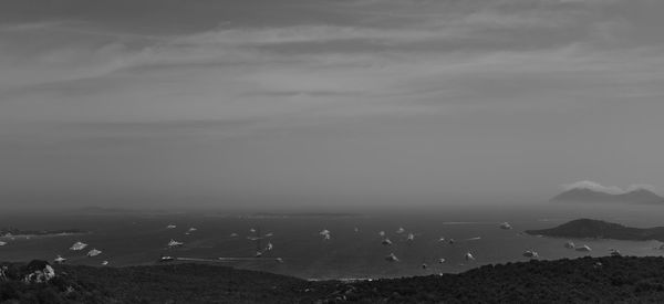 Yachts in the porto cervo's gulf