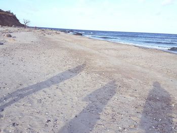 Close-up of beach against sky