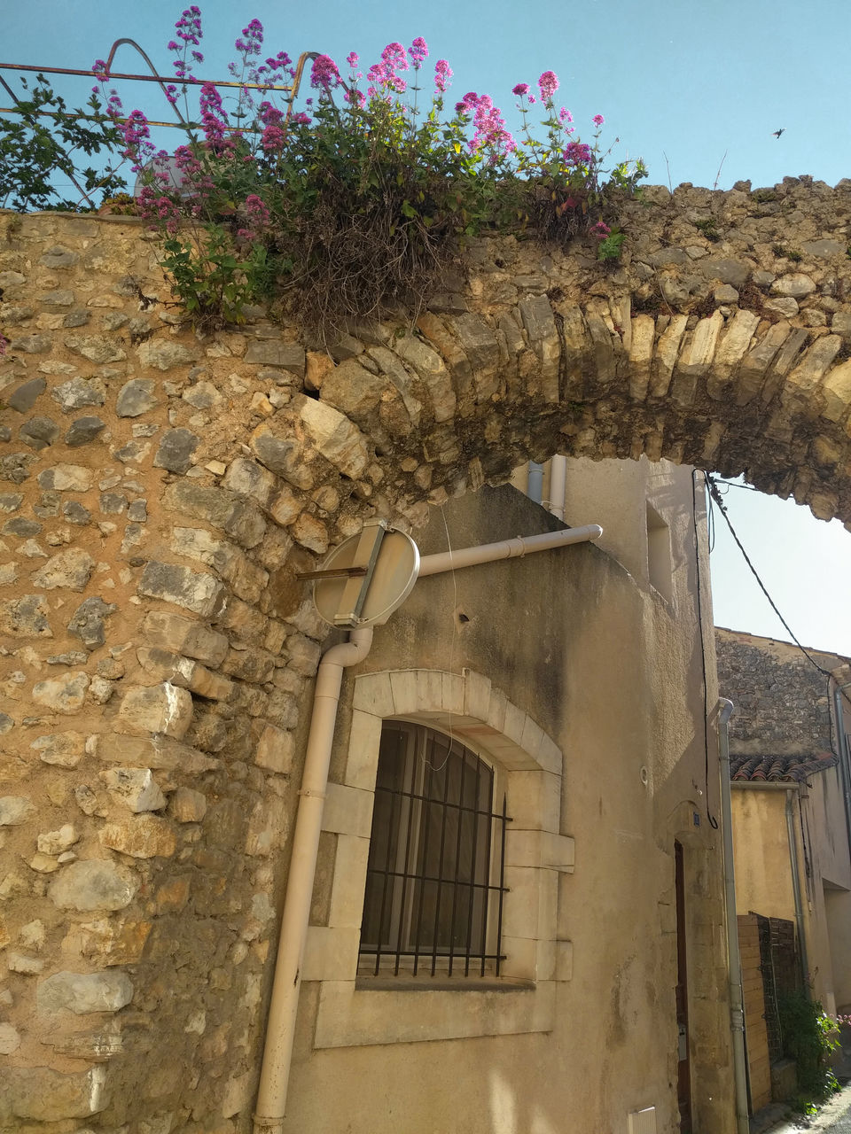 architecture, built structure, building exterior, wall, building, nature, plant, ancient history, no people, history, arch, the past, day, outdoors, sky, old, flower, house, window, flowering plant, wall - building feature, low angle view, ruins, village, travel destinations, entrance