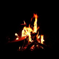 Close-up of bonfire at night