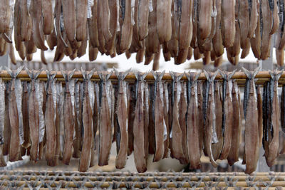 Close-up of drying fishes which are herrings and saury