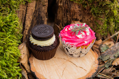 Close-up of cupcakes on rock against trees