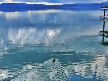 Scenic view of lake