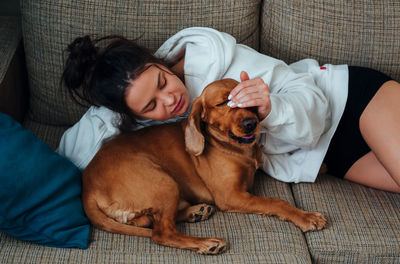 Dog lying on sofa