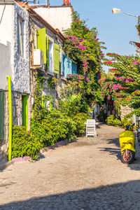 Street amidst trees and buildings