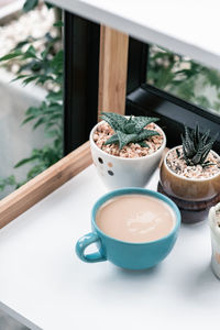 High angle view of potted plant on table