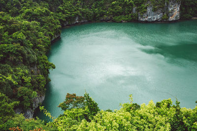 Scenic view of waterfall in forest