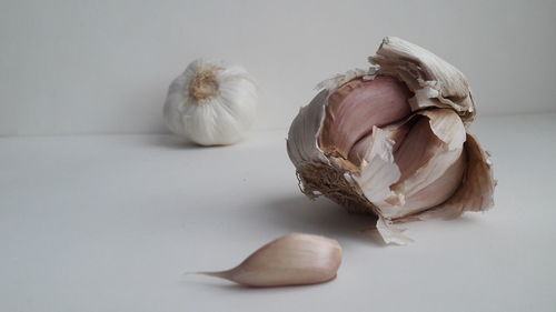 Close-up of garlic on white background