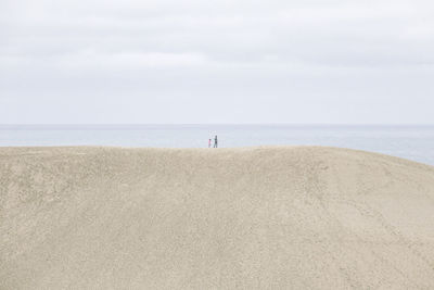 People on sandy coastline