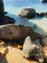 High angle view of pebbles on beach