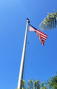 Crow atop a flag pole.